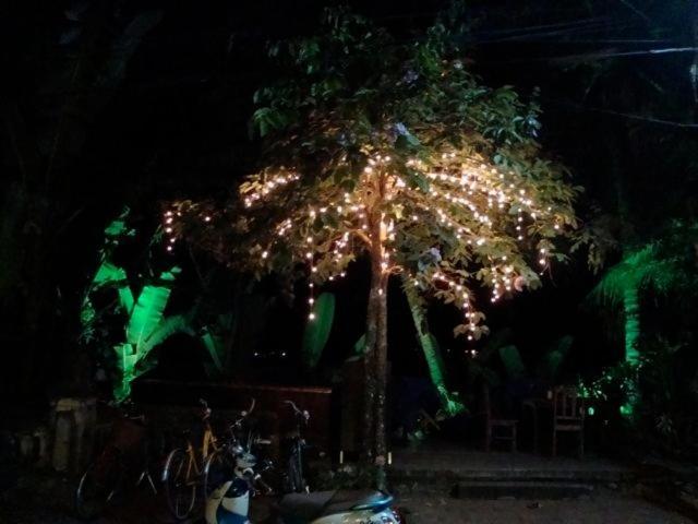 لوانغ برابانغ Riverside Guesthouse المظهر الخارجي الصورة